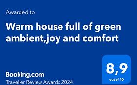 Warm House Full Of Green Ambient,Joy And Comfort